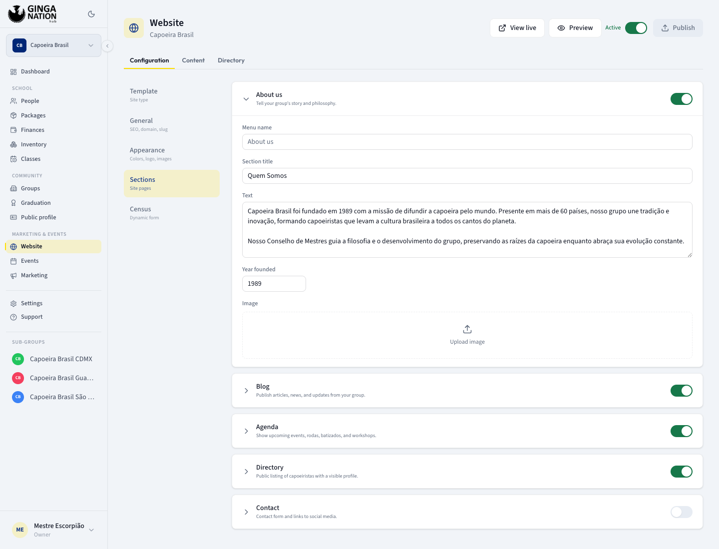 The Sections panel with one section expanded, showing its switch, Menu name field and section-specific fields
